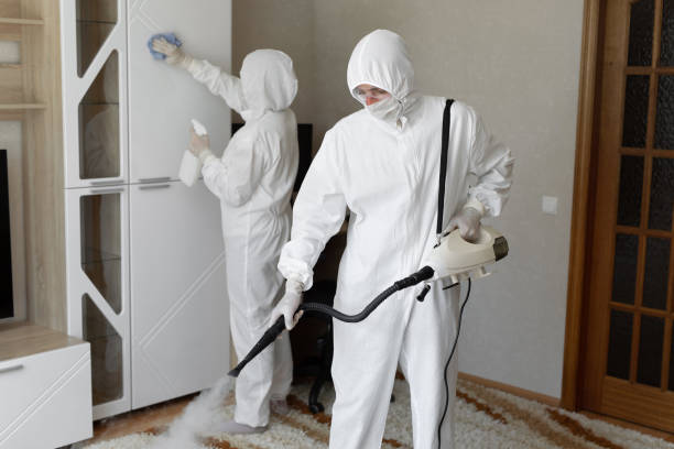 Affordable Biohazard Cleanup solutions in Hallettsville, TX
